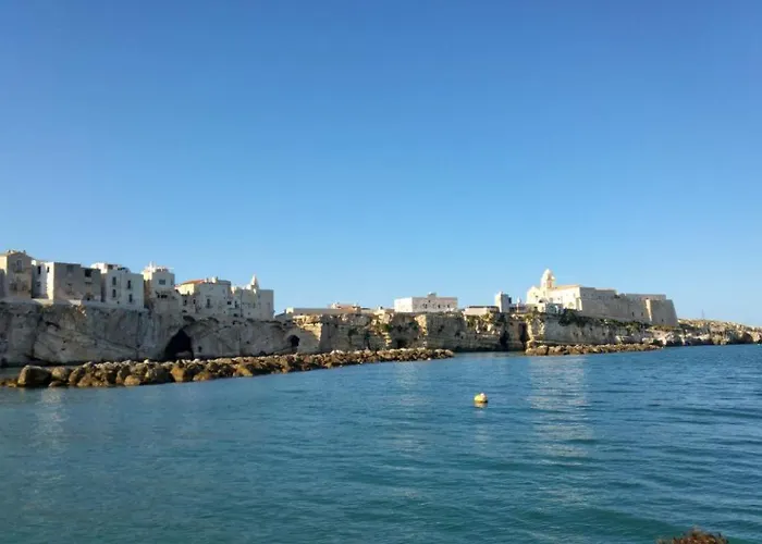 Selvamare Vacanze 度假居 维耶斯泰